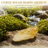 Citrine Rough Shards (Medium)