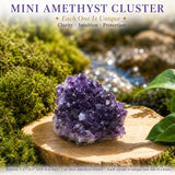 Mini Amethyst Cluster
