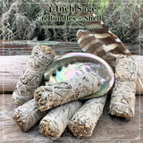 Smudge Kit: Sage (4-Inch) + Abalone Shell