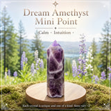 Dream Amethyst Mini Crystal Point
