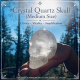 Crâne de quartz en cristal (taille moyenne)