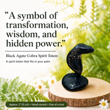 Crystal Animal Spirit Totems: Black Protection Agate Cobra