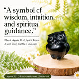 Crystal Animal Spirit Totems: Black Protection Agate Owl