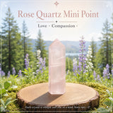 Rose Quartz Mini Crystal Point