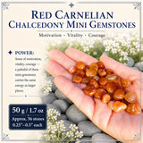 Red Carnelian Chalcedony Mini Gemstones (50 Gram / 1.7oz. Lot)