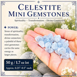 Celestite Mini Gemstones  (50 Grams / 1.7oz Lot)