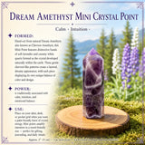 Dream Amethyst Mini Crystal Point