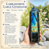 Labradoriet Grote Generator