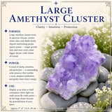 Large Amethyst Cluster