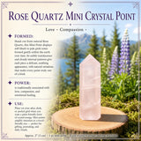 Rose Quartz Mini Crystal Point