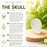 Crystal Spirit Totems: Clear Quartz Skull