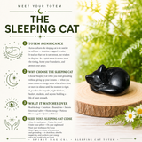 Crystal Animal Spirit Totems: Black Protection Agate Sleeping Cat
