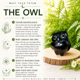 Crystal Animal Spirit Totems: Black Protection Agate Owl
