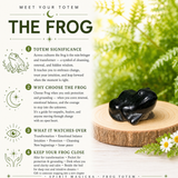 Crystal Animal Spirit Totems: Black Protection Agate Frog