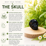 Crystal Spirit Totems: Black Protection Agate Skull