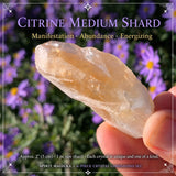 6-Piece Crystal Companions Set