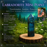 Labradorite and Opalite Tranformation Set