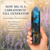 Tall Generator 4-Set Collector's Kit