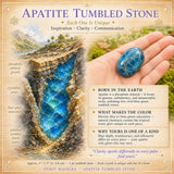 Apatite Tumbled Stone
