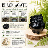 Crystal Animal Spirit Totems: Black Protection Agate Owl
