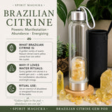 Brazilian Citrine Gem Pod Water Bottle 💧