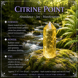 43-Piece Crystal Collectors Super Kit