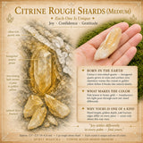 Citrine Rough Shards (Medium)