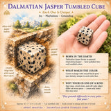 Dalmatian Jasper Tumbled Cube