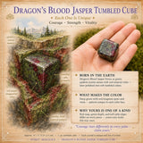 Dragon's Blood Jasper Tumbled Cube