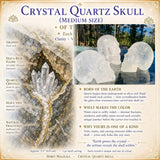Crâne de quartz en cristal (taille moyenne)