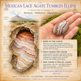 Mexican Lace Agate Tumbled Stone