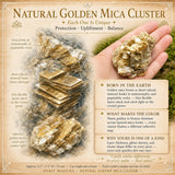 Natural Golden Mica Cluster