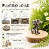 Crystal Animal Spirit Totems: Dalmatian Jasper Dog