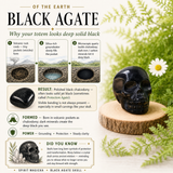 Crystal Spirit Totems: Black Protection Agate Skull