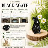 Crystal Animal Spirit Totems: Black Protection Agate Rabbit