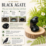Crystal Animal Spirit Totems: Black Protection Agate Raven