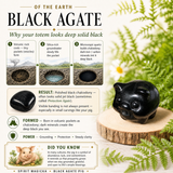 Crystal Animal Spirit Totems: Black Protection Agate Pig