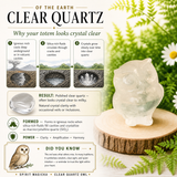 Crystal Animal Spirit Totems: Clear Quartz Owl