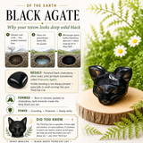 Crystal Animal Spirit Totems: Black Protection Agate Third Eye Cat