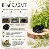Crystal Animal Spirit Totems: Black Protection Agate Frog