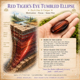 Red Tigers Eye Tumbled Ellipse