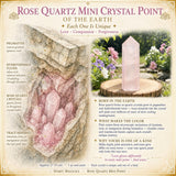 Rose Quartz Mini Crystal Point