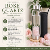 Rose Quartz Gem Pod Water Bottle 💧