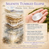 Selenite Ellipse Stones