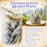 5-Piece Crystal Cleansing Kit