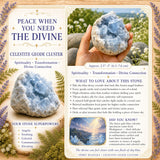 $12 TODAY ONLY 75% SAVING - Celestite Geode Cluster - Save