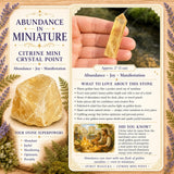 Citrine Mini Crystal Point