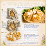 9-Piece Citrine Set