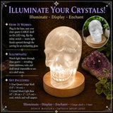 Crystal Mood Light (Quartz Skull Large)