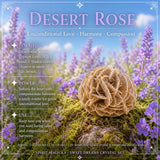 50% OFF SALE Sweet Dreams Crystal Set